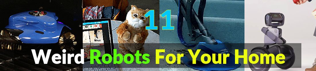 odditymall: unique gifts | unusual gift ideas