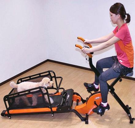 This Dual Dog Exercise Treadmill Lets You Exercise With Your Pooch