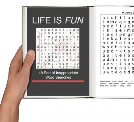 This Inappropriate Word Find Book Will Spice Up Your Word Gaming Fun
