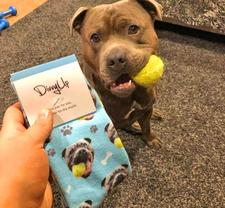 Custom Socks With Your Pets Face On Them