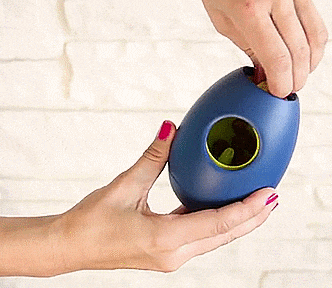 Tikr: A Time Released Treat Dispensing Dog Toy