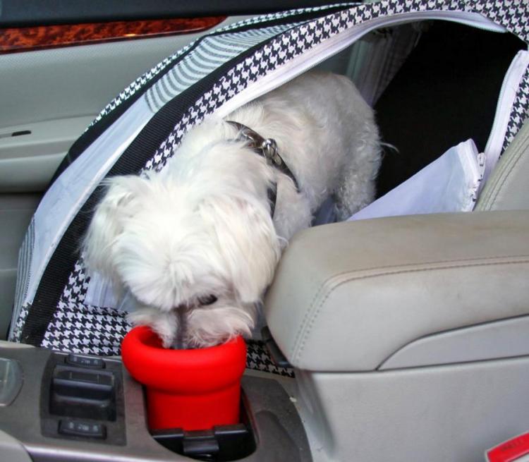 To Go Bowl: A Travel Dog Water Dish That Fits In Your Cars Cupholder