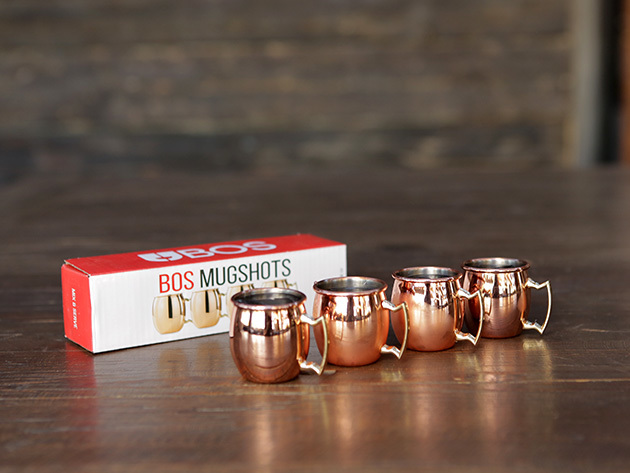 the copper shot glass mugs ar
